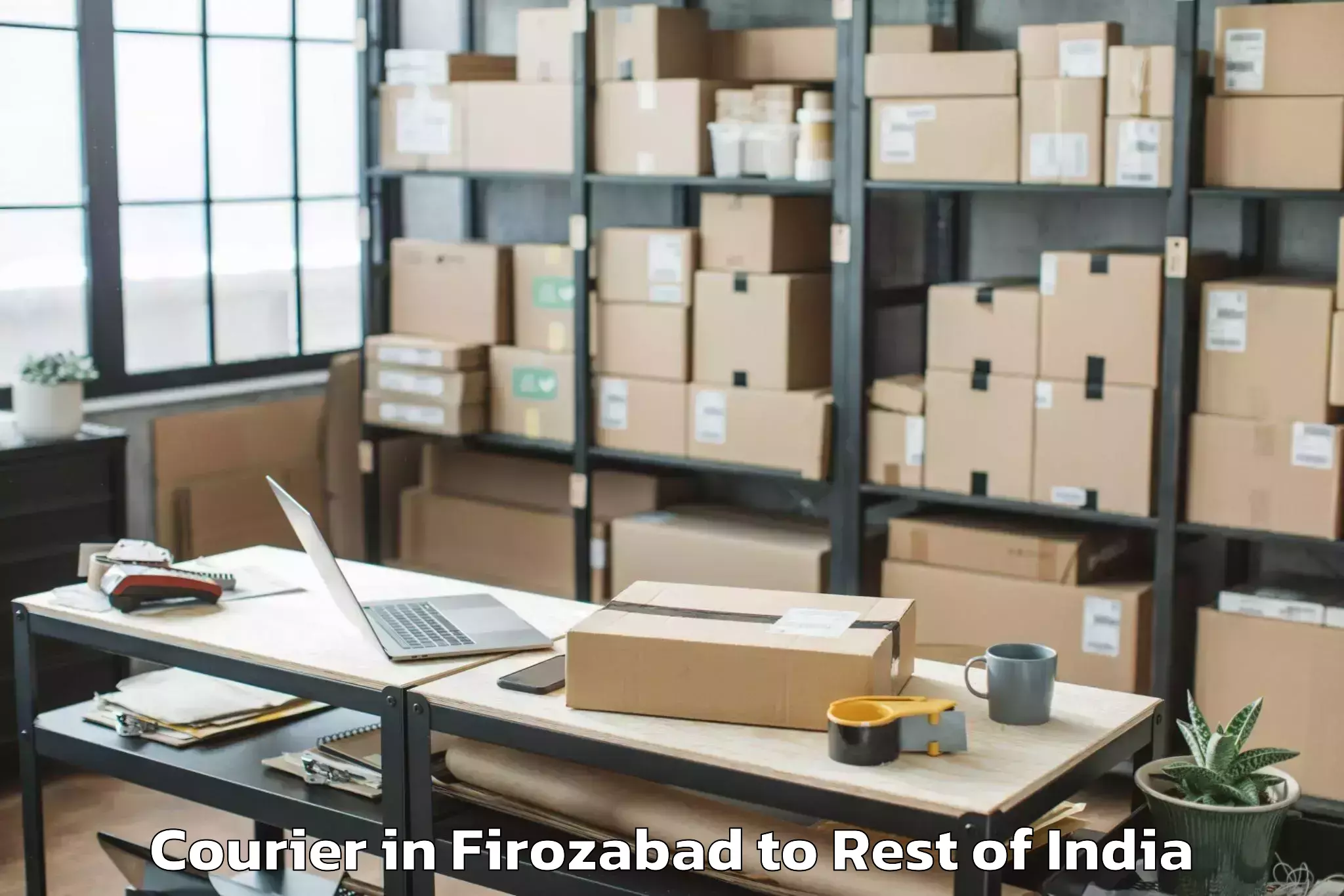 Firozabad to Darhal Courier Booking